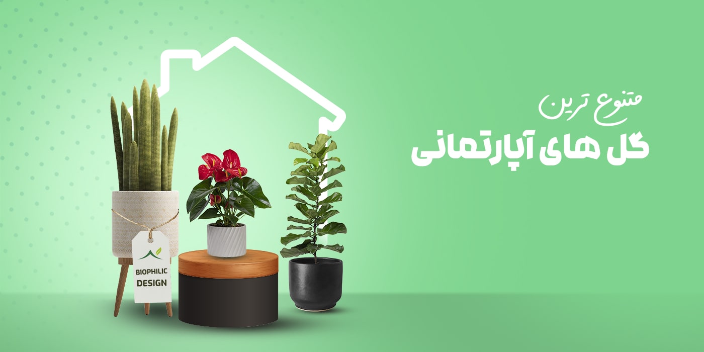 نمونه بنر سایت گل های آپارتمانی